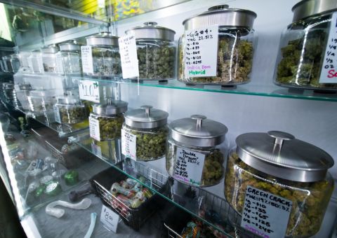 The Top Weed Friendly Countries for Tourists