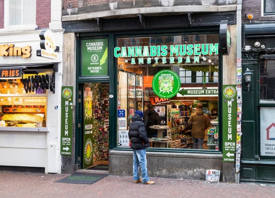 A street view of the Cannabis Museum Amsterdam entrance, featuring a large glass storefront with neon green and white lettering and a man in a dark puffer jacket and jeans looking into the store, next to a fast-food shop labelled Chippy King