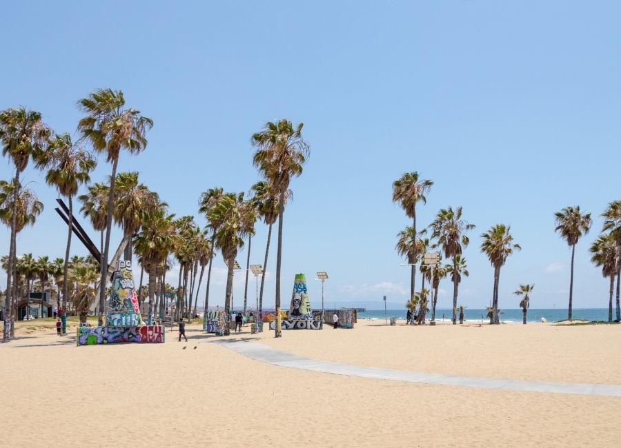 A sunny view of Venice Beach, California, showing a wide expanse of sand, numerous tall palm trees, and scattered people in the distance, with some low-rise buildings and graffiti art visible