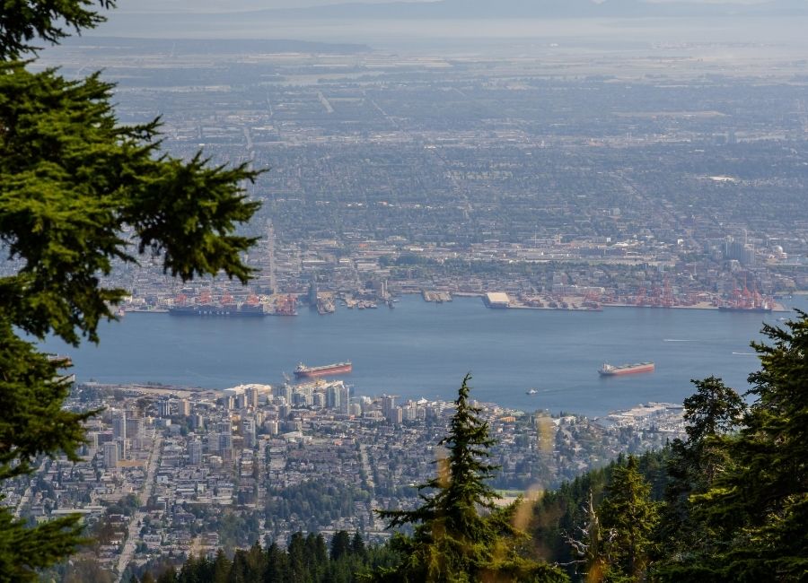 A high-angle aerial view of the Vancouver cityscape and harbor, with cargo ships in the water, seen through a frame of dark green pine trees in the foreground from Grouse Mountain