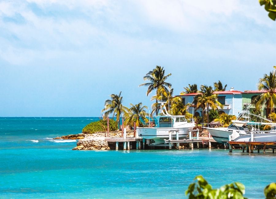 The Caribbean coast of Antigua features turquoise water, a wooden dock with several small white boats, and palm trees and buildings along the shoreline under a sunny blue sky
