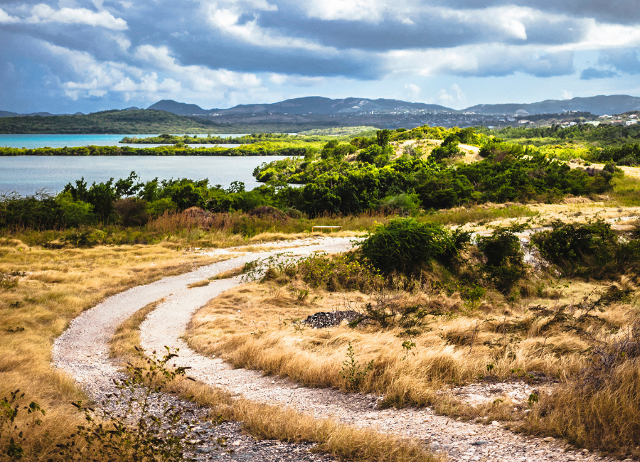 Winding dirt road through Antigua's countryside with lush greenery, hills, and coastal water in the distance