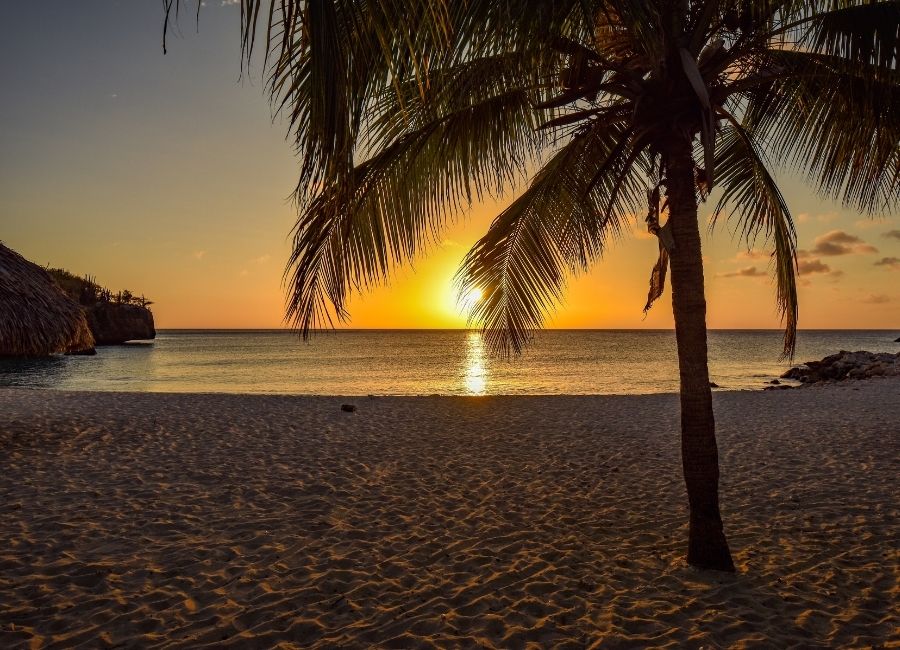 Sunset over a quiet beach with a palm tree, creating a calm and reflective atmosphere
