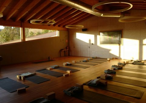 Cannabis Tours vs Cannabis Retreats: What's the Difference?