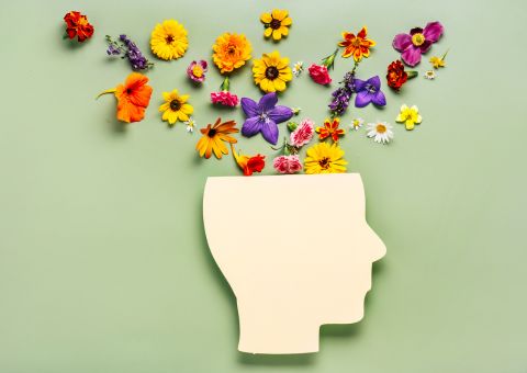 Using Cannabis Wellness Retreats for a Mental Reset