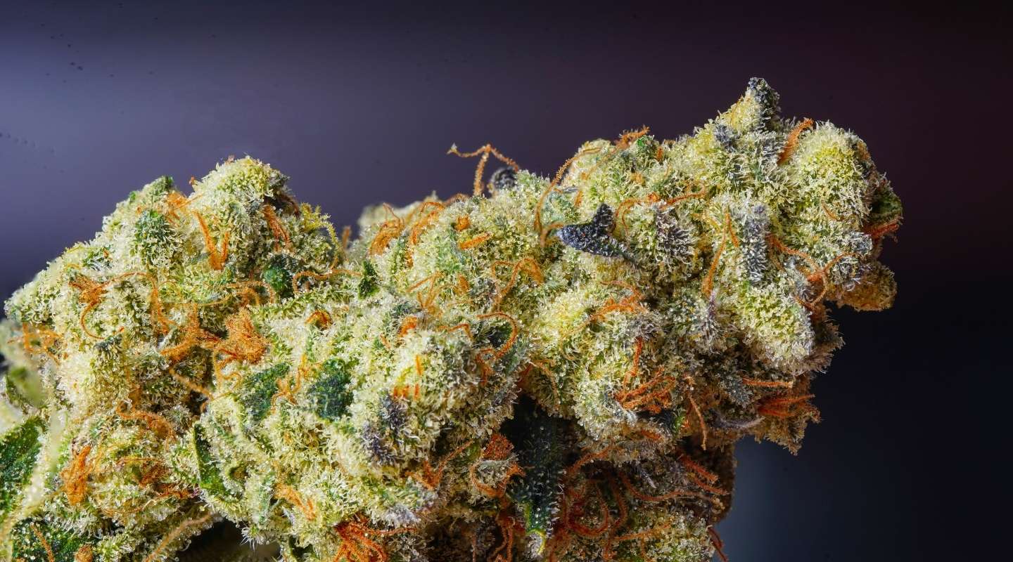 Close-up macro image of a cannabis bud covered in trichomes against a dark background