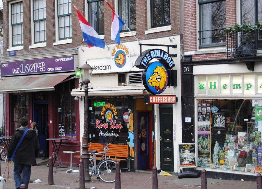 Street view of Amsterdam coffeeshops, including The Bulldog and The Doors, with storefront signs and Dutch flags visible