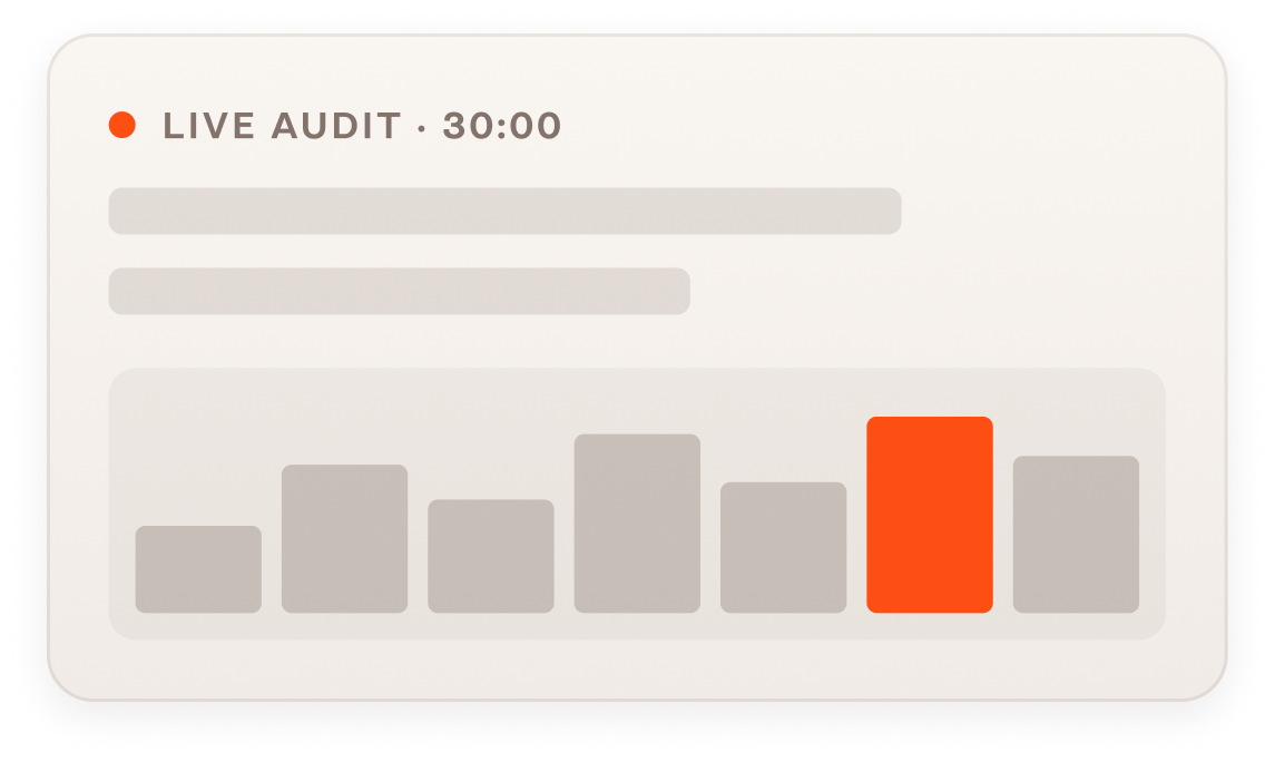Live audit mockup