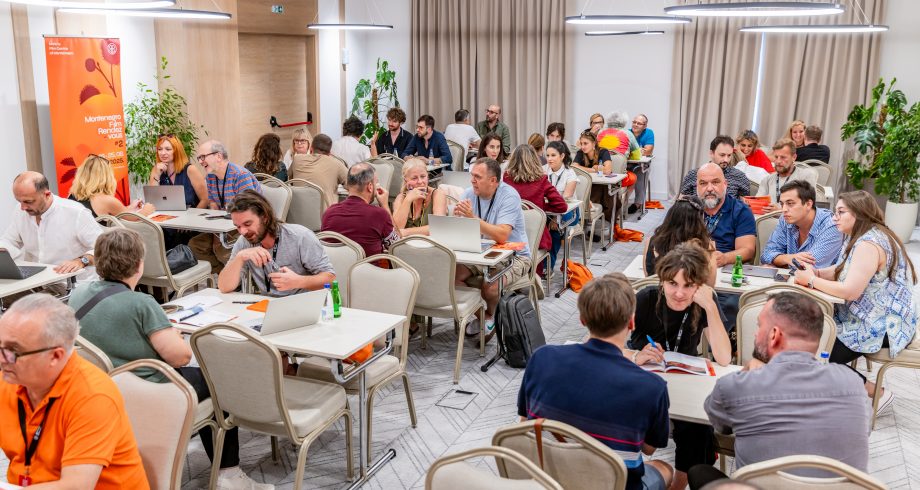 Second Edition of Montenegro Film Rendezvous Concludes: Montenegrin Cinema Increasingly Present on the European Film Scene