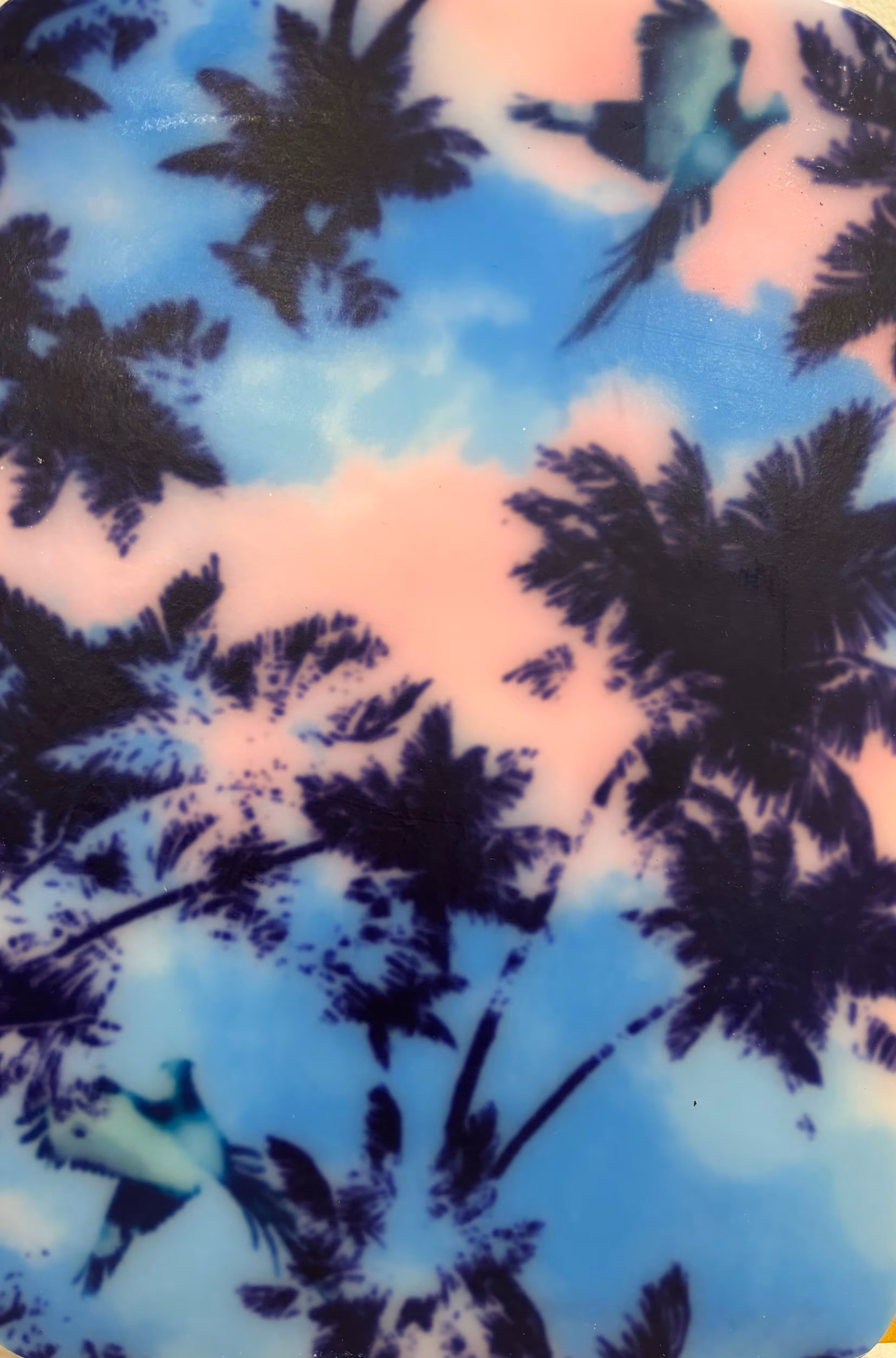 Motif tropical avec silhouettes de palmiers noirs sur un fond dégradé bleu et rose avec deux oiseaux colorés.