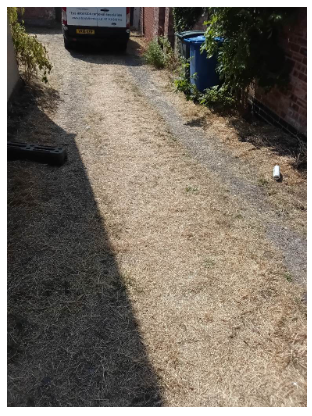 Specialist cleaning of affected gardens