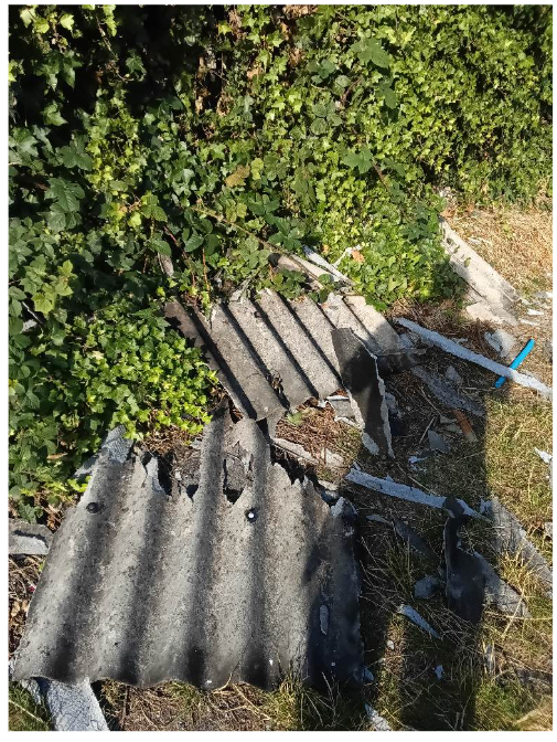 High-level roof and guttering decontamination