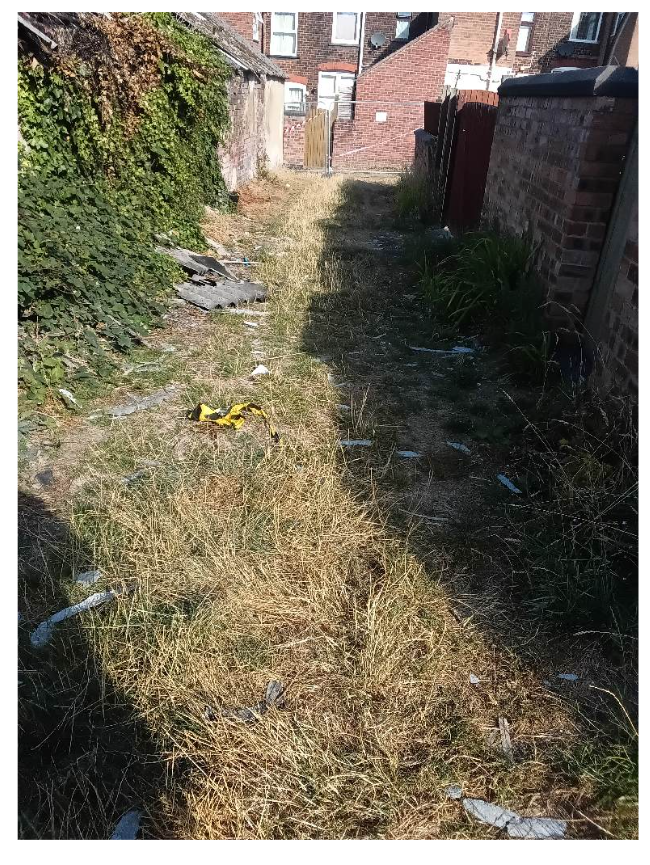 Overgrown alleyway strimmed back to allow debris recovery