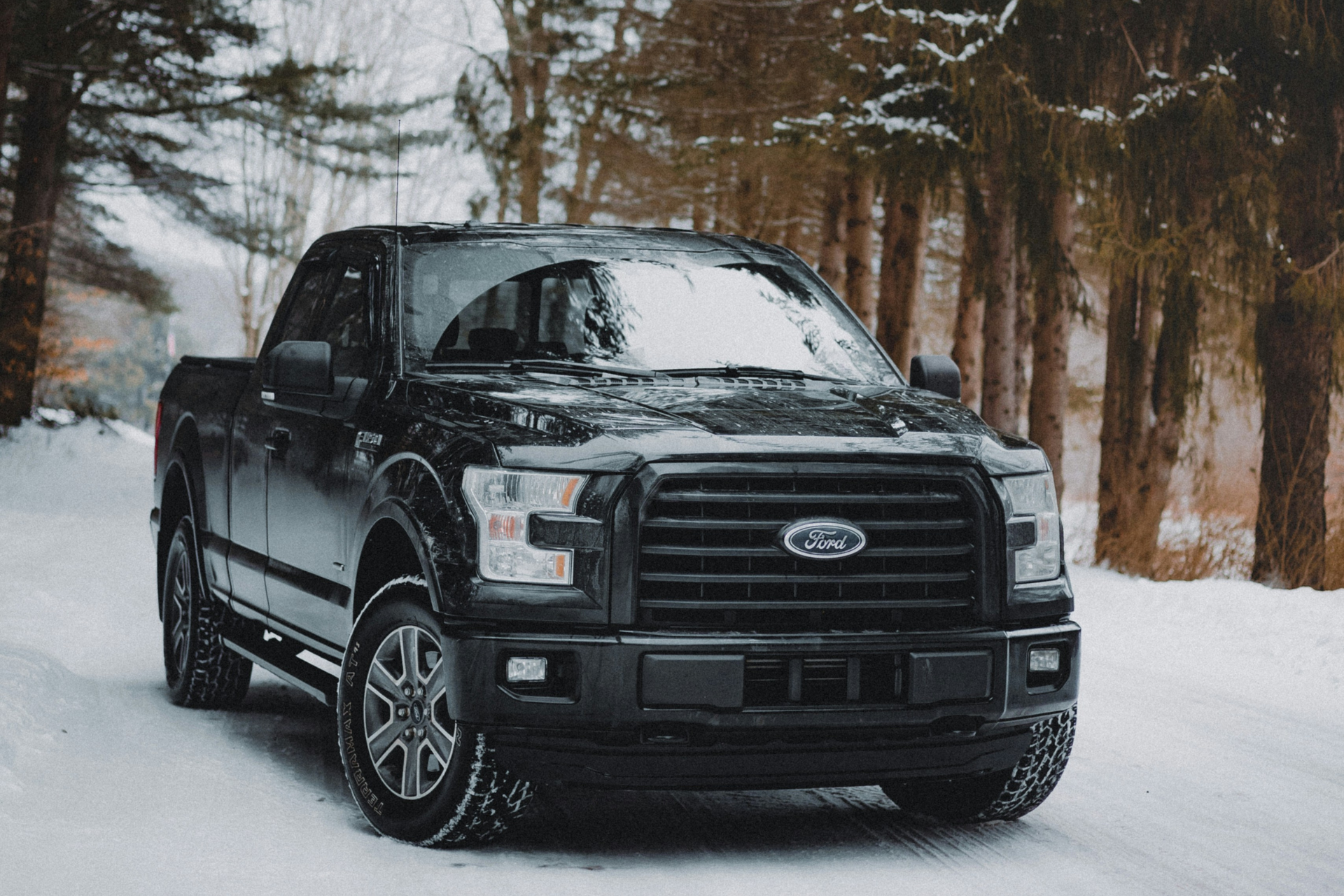 Ford F-150 in the snow in a pine forest