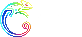 Cybertivity Logo.