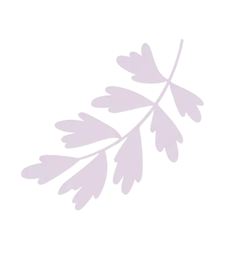 Minimal lavender leaf illustration with soft pastel tone and transparent background.