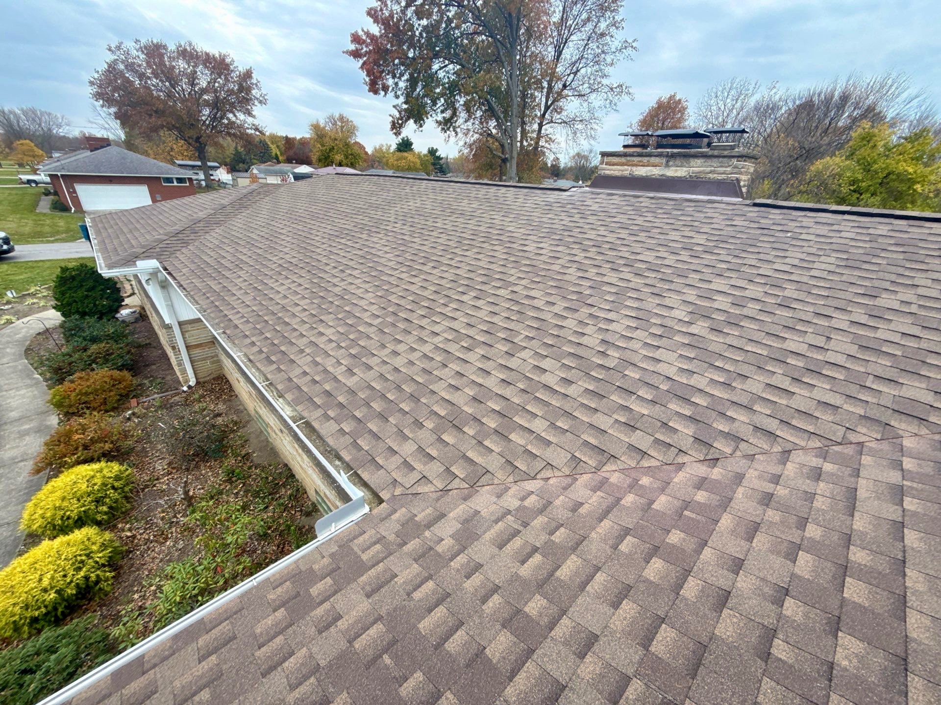 A roof covered in brown shingles with green and yellow shrubs visible below.