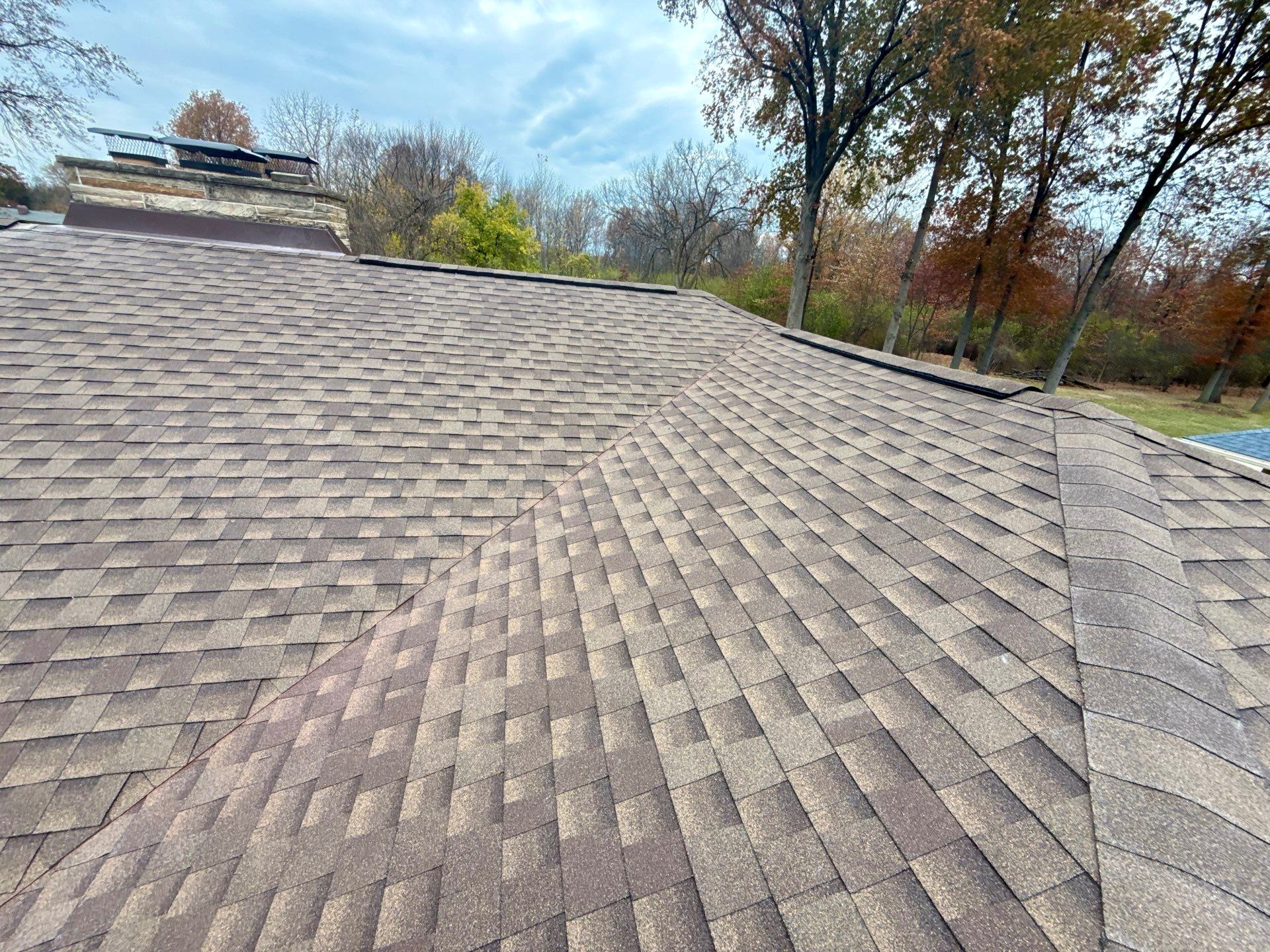 A sloped roof covered in brown asphalt shingles with trees in the background.