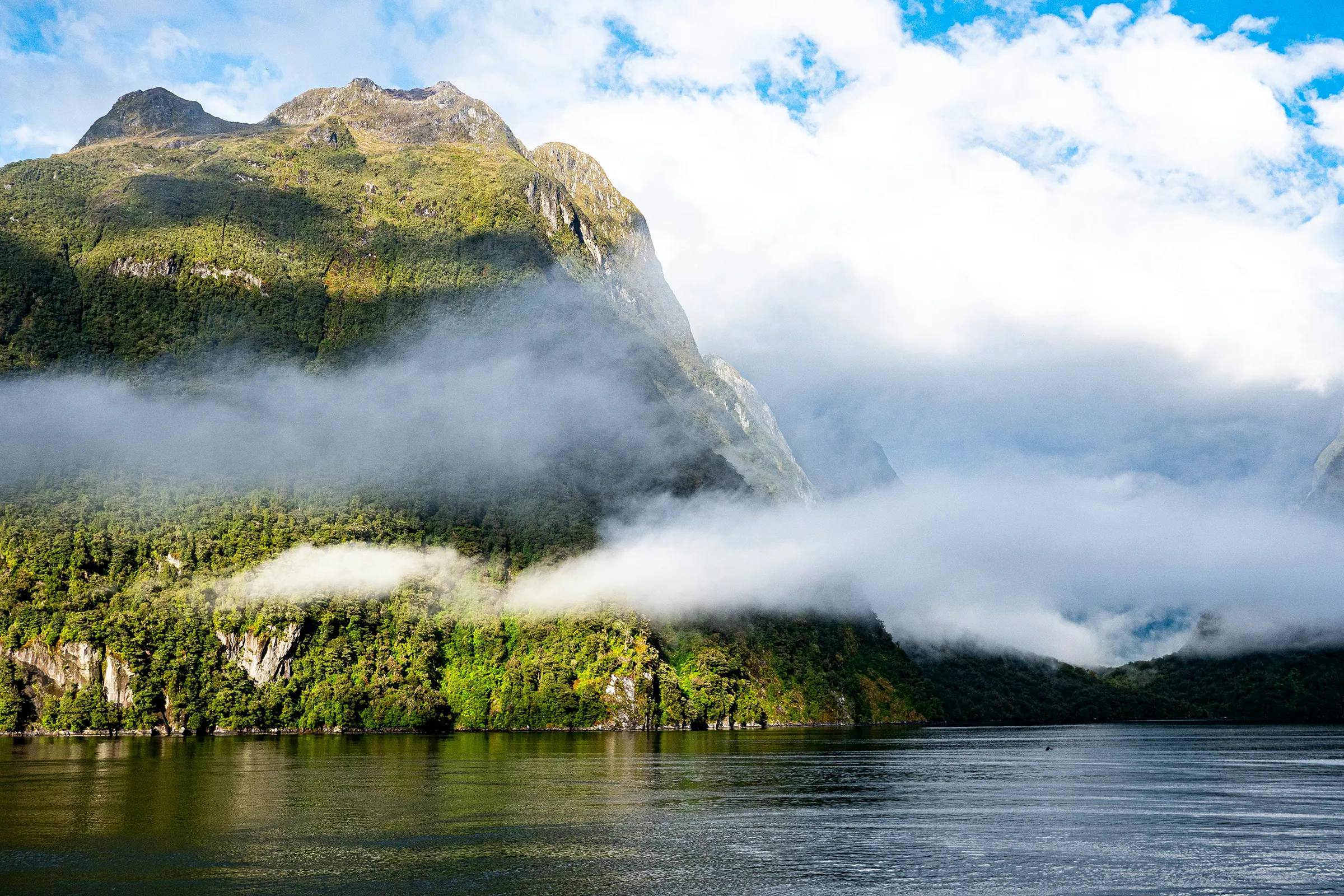 Sunny Lake boat tour