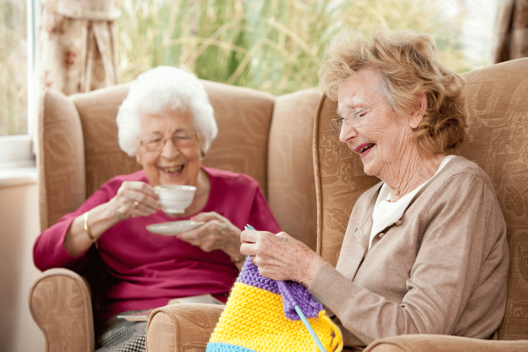 Companion Living: 5 Mobility and Social Benefits of Companion Living