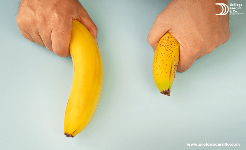 el tamaño del pene puede variar