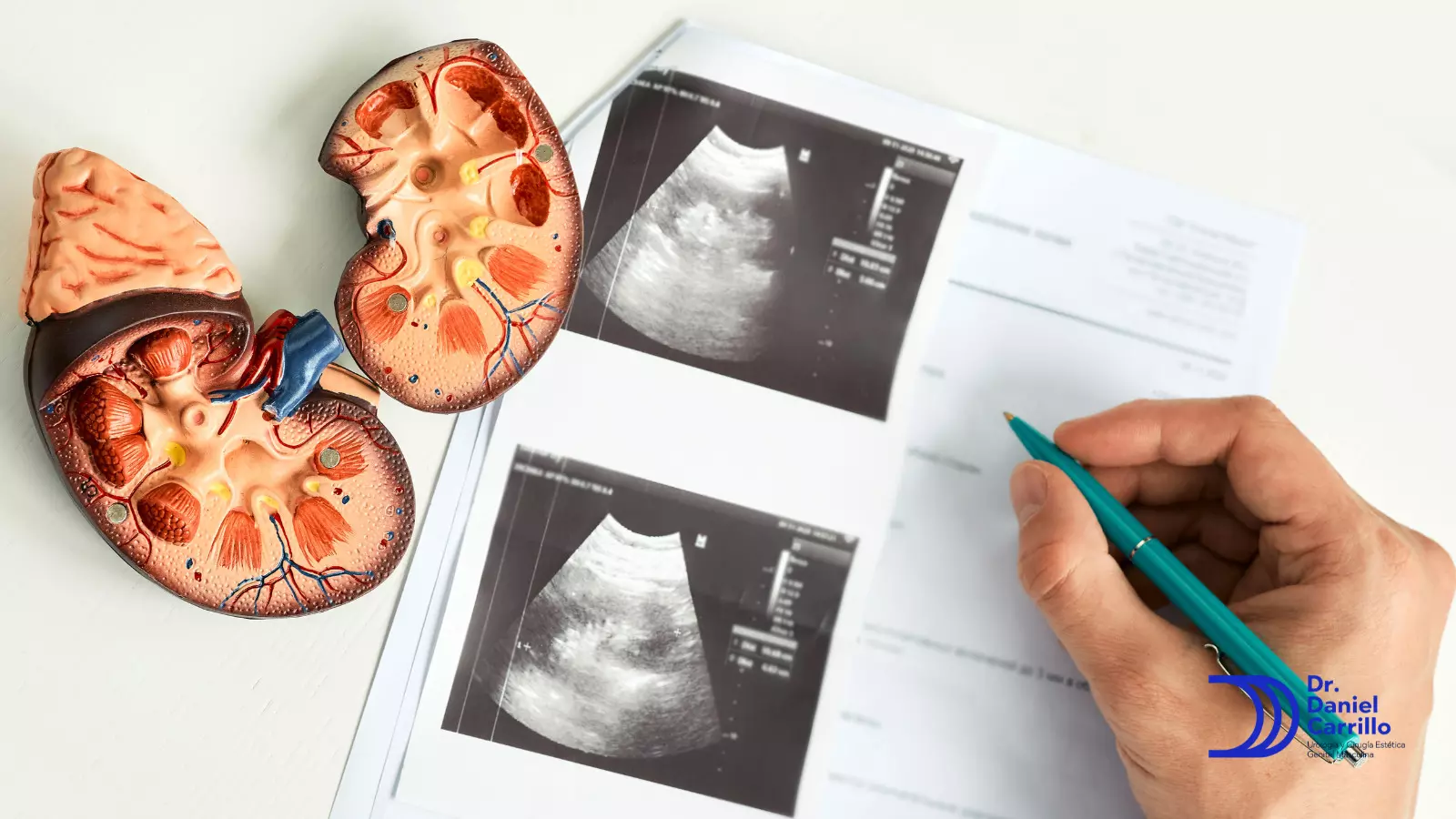 La urología y la cirugía general son ramas quirúrgicas 