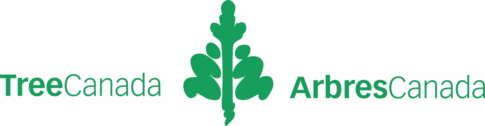 tree canada.jpg
