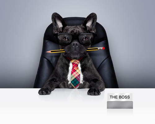 photodune-13882835-office-worker-boss-dog-xs_2.jpg