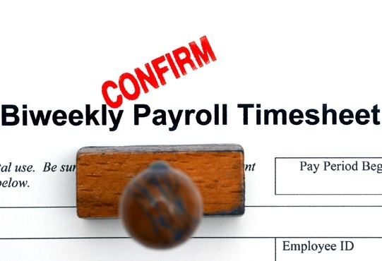 photodune-12204870-payroll-timesheet-xs_2.jpg