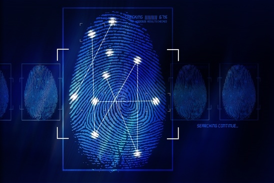 fingerprint identification system