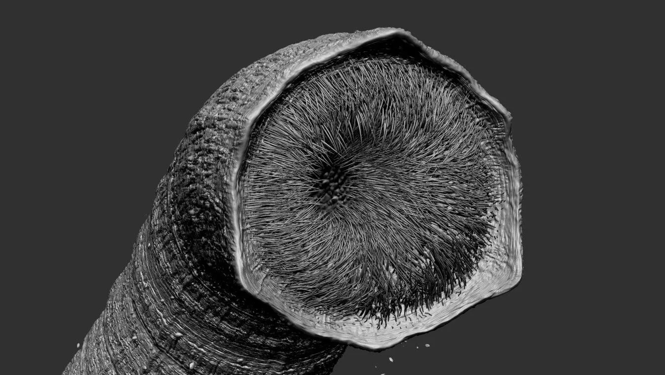 pablo-munoz-gomez-001.jpg [jpg-to-webp output image]