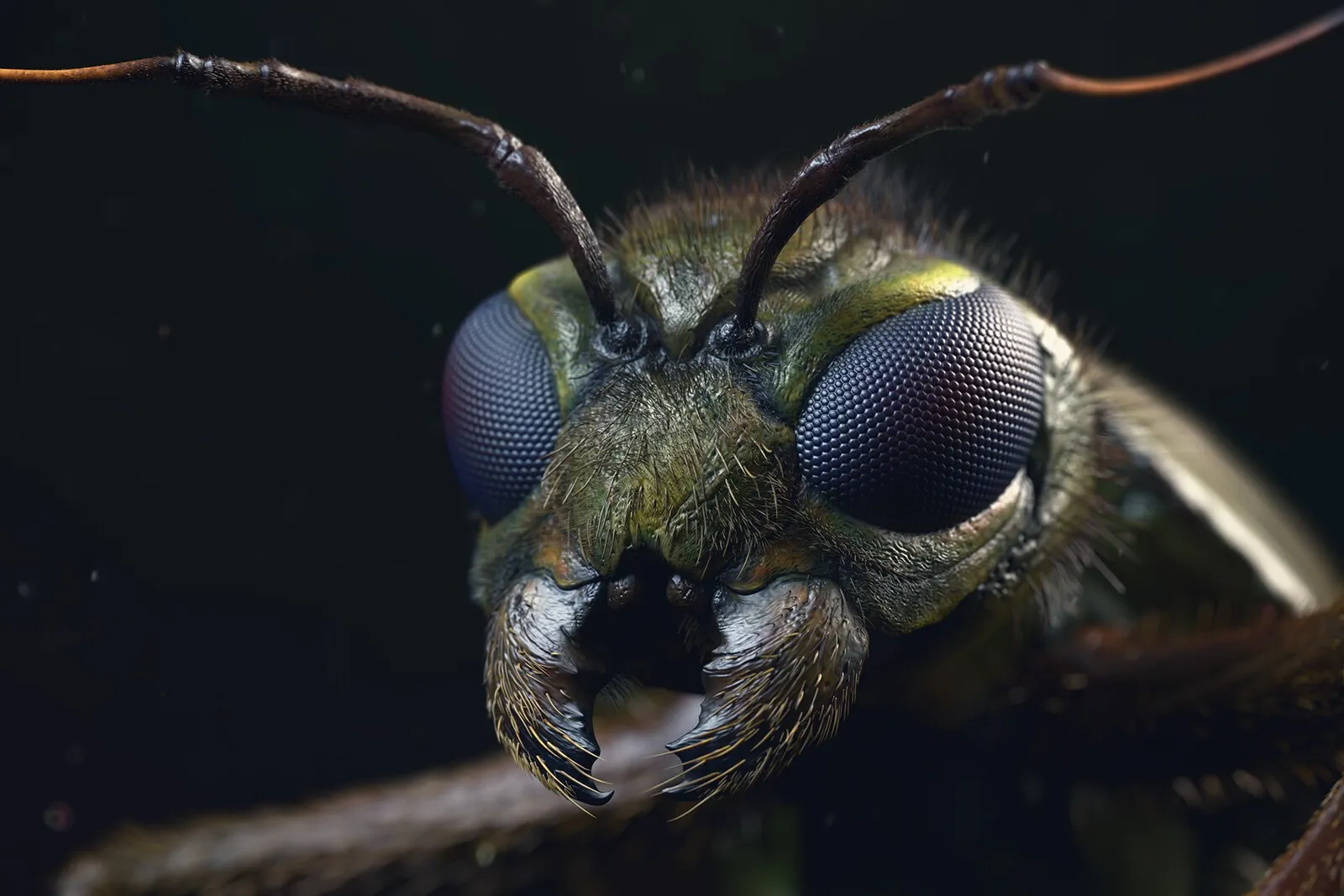 pablo-munoz-gomez-final04-copy.jpg [jpg-to-webp output image]