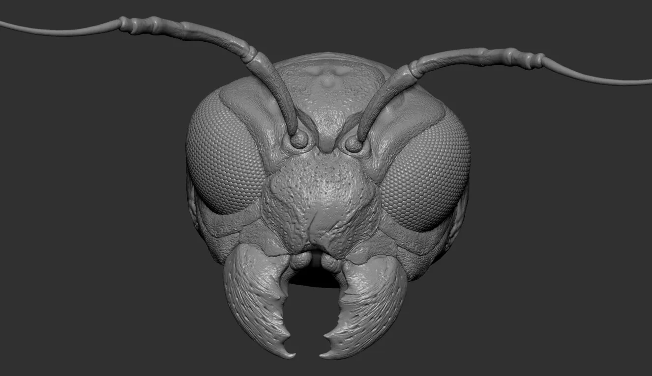 pablo-munoz-gomez-zbrush-sculpt-hex.jpg [jpg-to-webp output image]