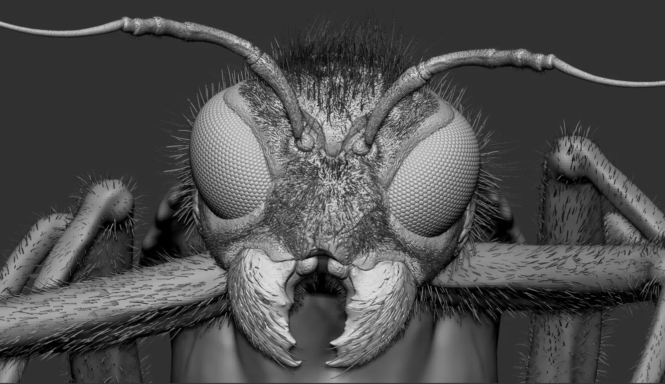 pablo-munoz-gomez-zbrush-sculpt.jpg [jpg-to-webp output image]