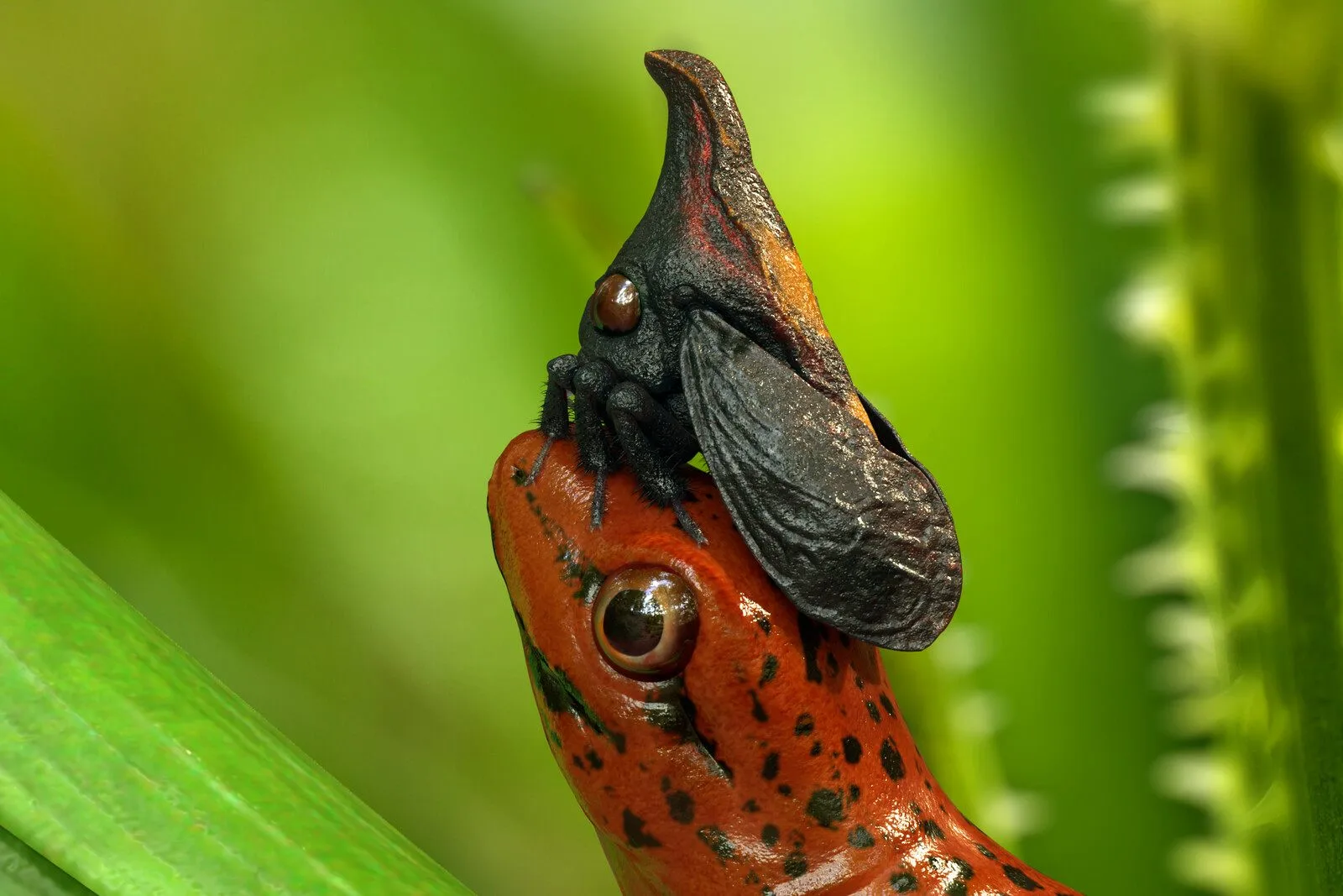 pablo-munoz-gomez-lizzard-scene-01-closeup-3.jpg [jpg-to-webp output image]