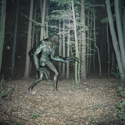Night Creature
