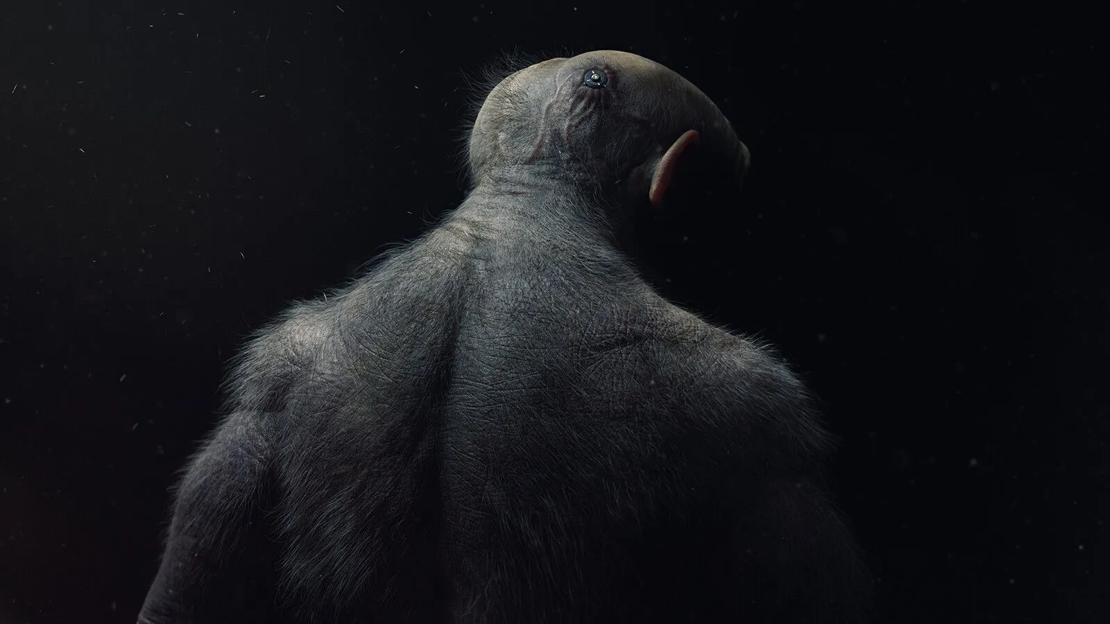 pablo-munoz-gomez-runt01.jpg [jpg-to-webp output image]