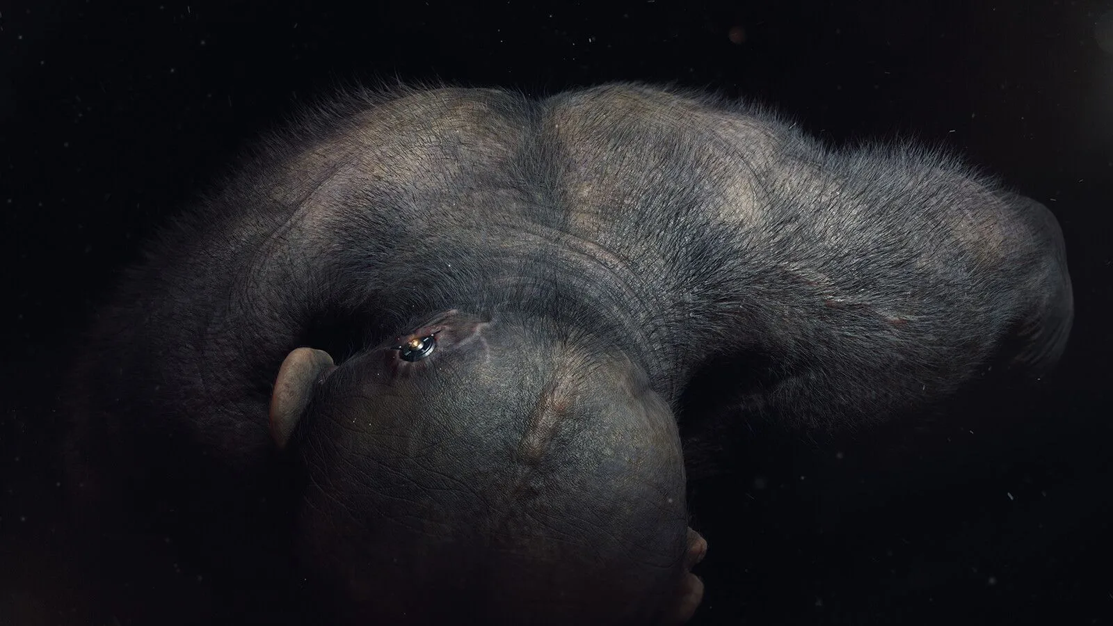 pablo-munoz-gomez-runt03.jpg [jpg-to-webp output image]