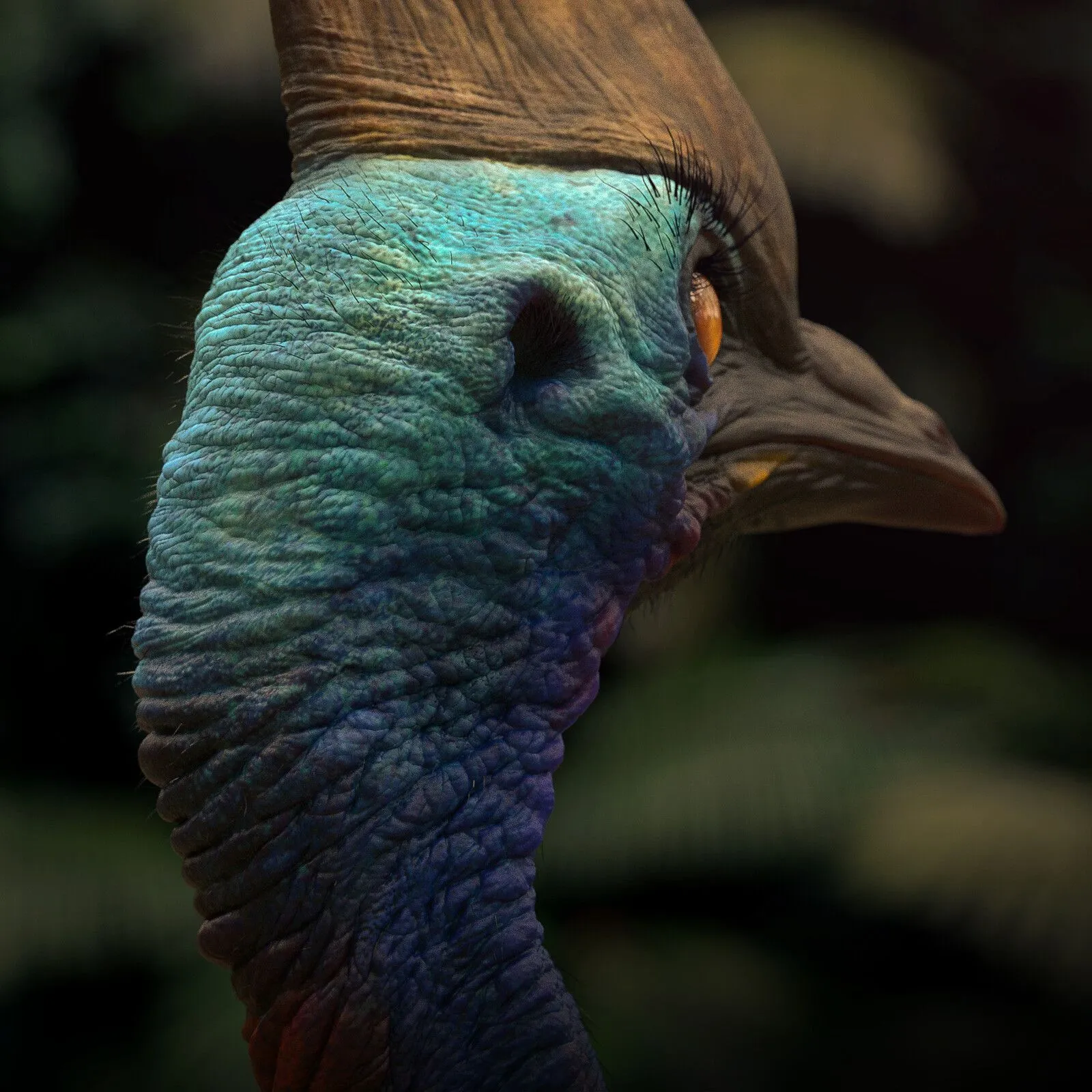 pablo-munoz-gomez-casssowary-details-back.jpg [jpg-to-webp output image]