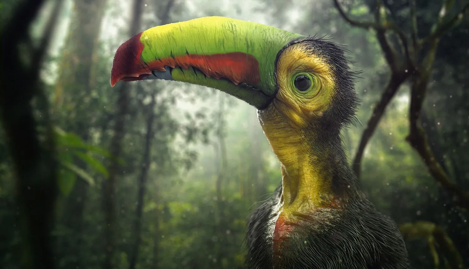 pablo-munoz-gomez-tucan.jpg [jpg-to-webp output image]