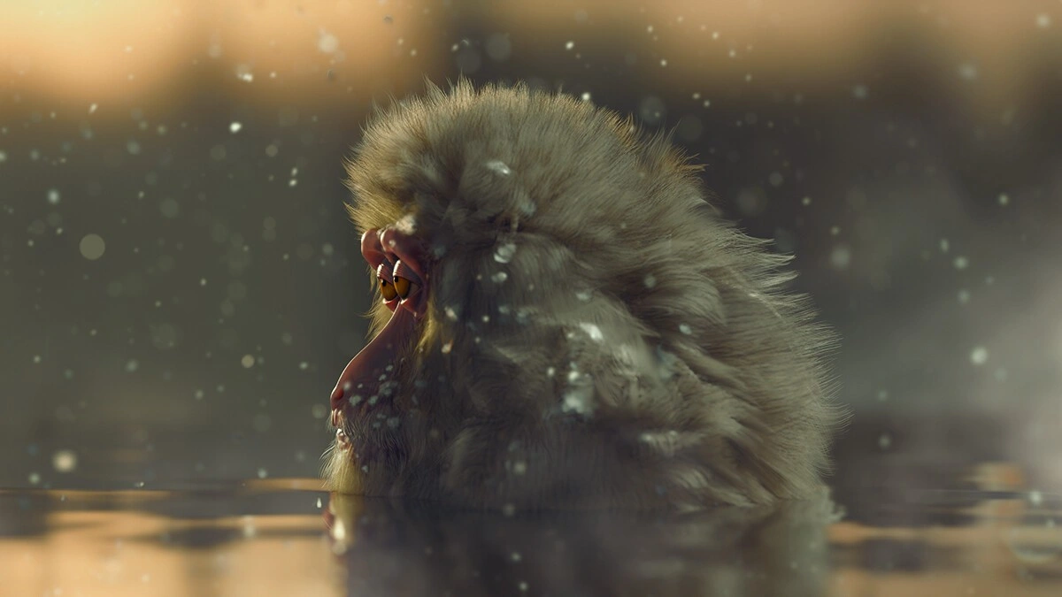 pablo-munoz-gomez-japonese-macaquee-final-side-small.jpg [jpg-to-webp output image]