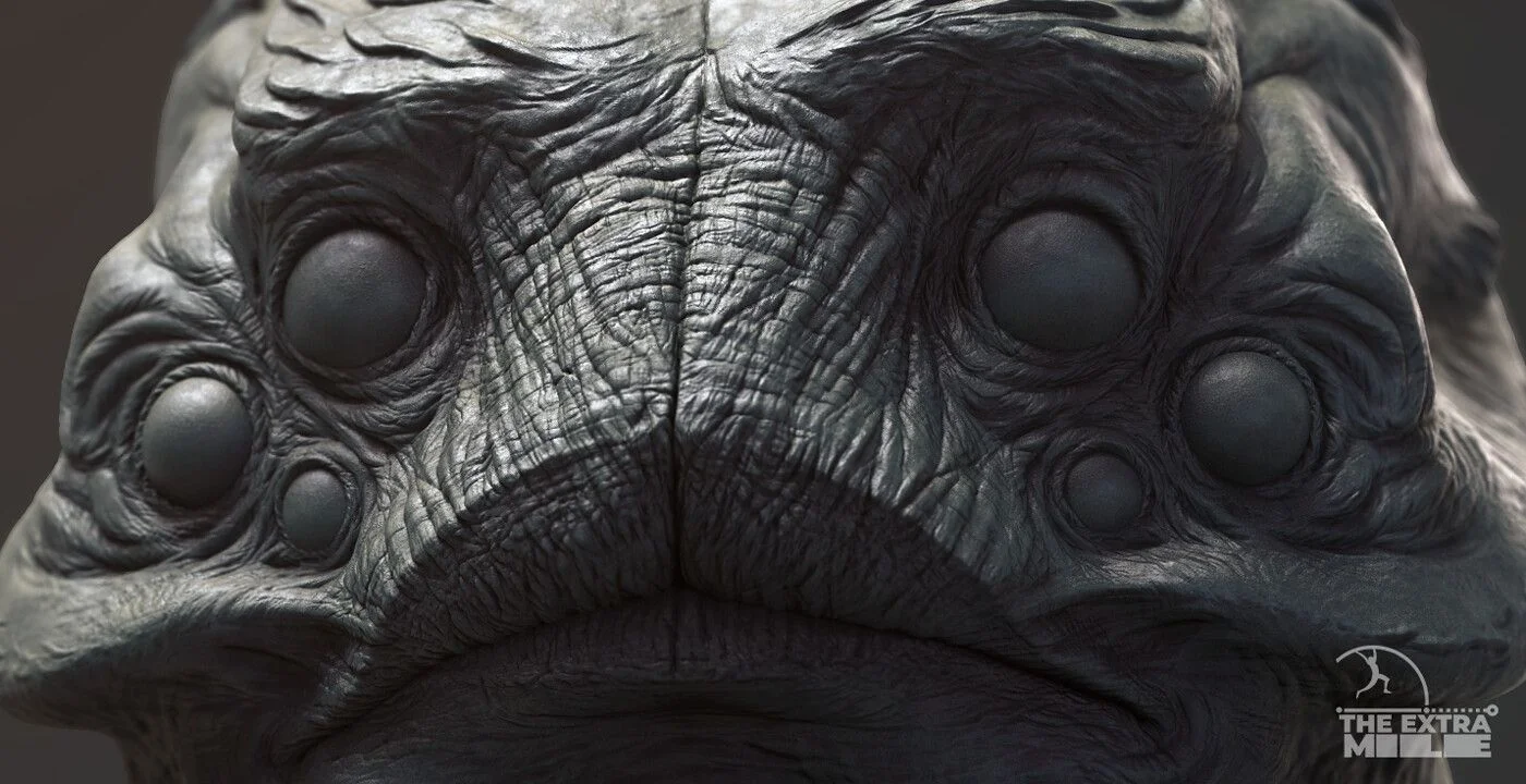 pablo-munoz-gomez-hex-closeup.jpg [jpg-to-webp output image]