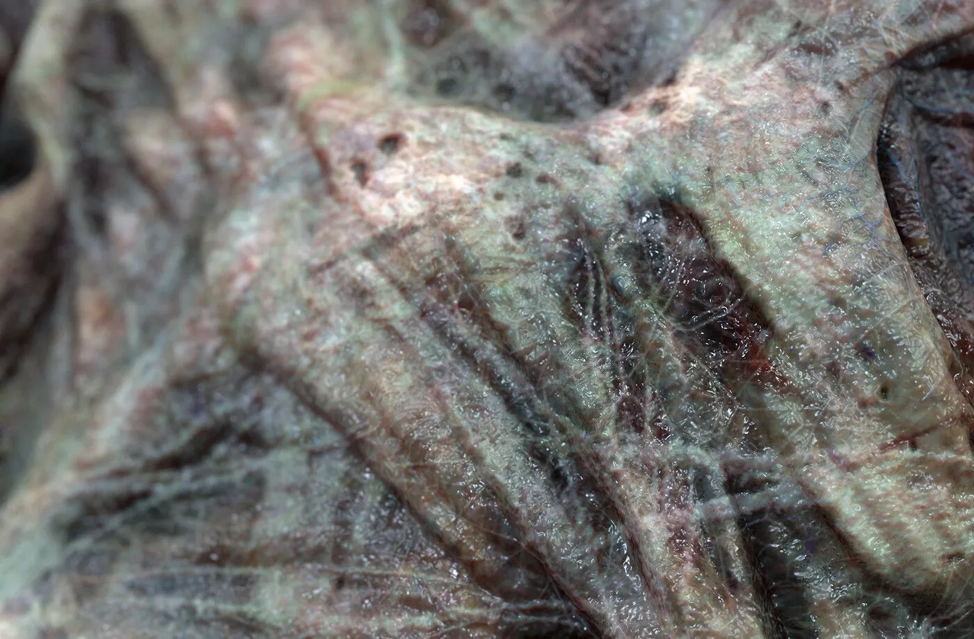 pablo-munoz-gomez-pmg-substance-source-zombie-skin-close-up01.jpg [jpg-to-webp output image]