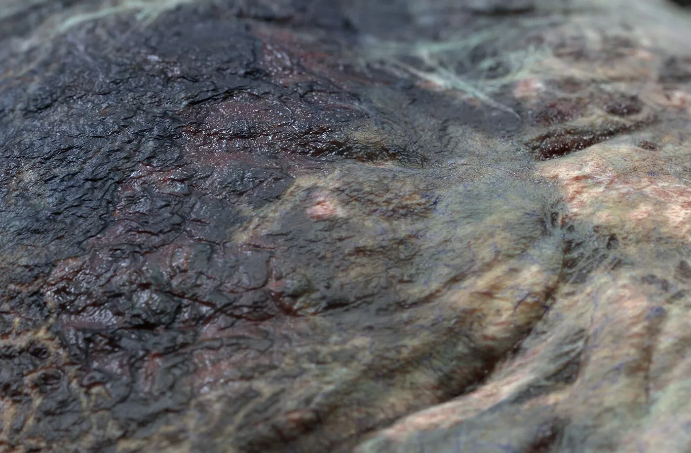 pablo-munoz-gomez-pmg-substance-source-zombie-skin-close-up02.jpg [jpg-to-webp output image]