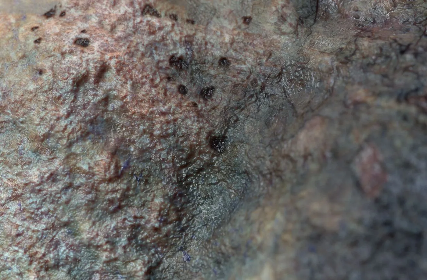 pablo-munoz-gomez-pmg-substance-source-zombie-skin-close-up03.jpg [jpg-to-webp output image]