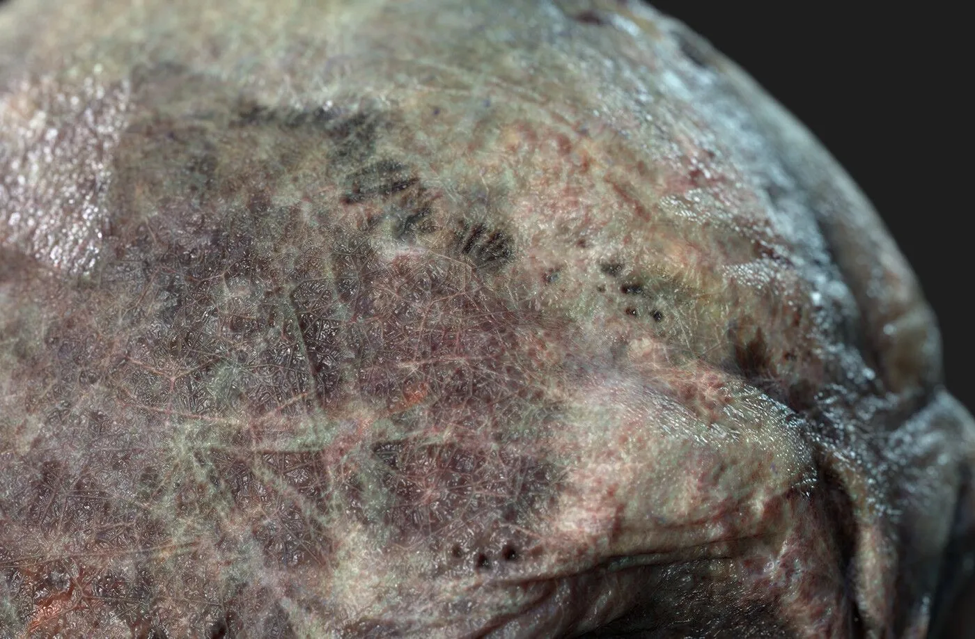 pablo-munoz-gomez-pmg-substance-source-zombie-skin-close-up04.jpg [jpg-to-webp output image]