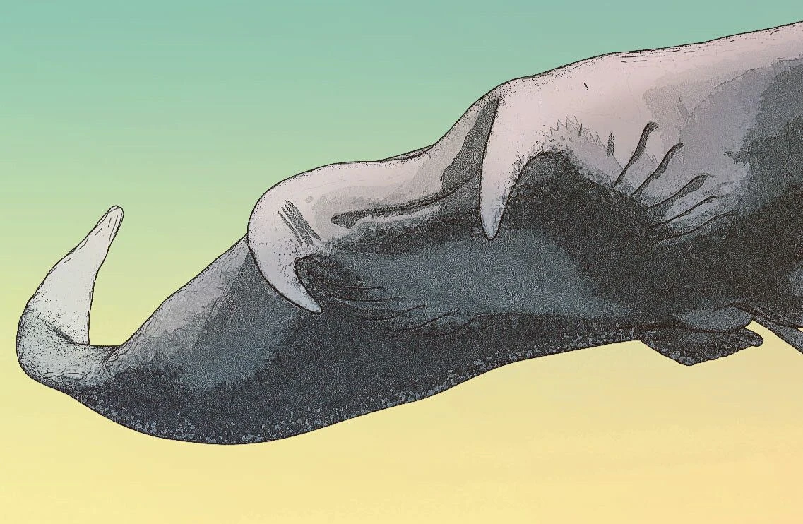 pablo-munoz-gomez-zbrush-2019-hunter-of-the-flying-stingrays-closeup02.jpg [jpg-to-webp output image]