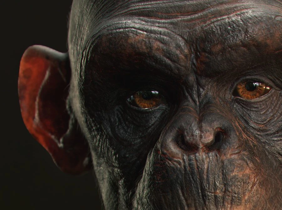 pablo-munoz-gomez-humanzee-detail03.jpg [jpg-to-webp output image]