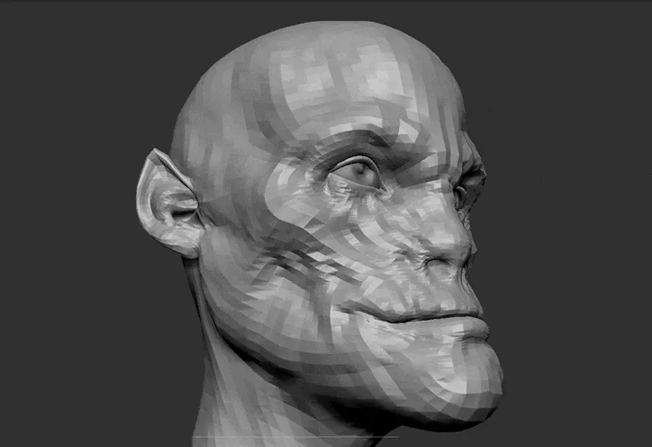 pablo-munoz-gomez-white-ruminant-process.gif [gif-to-webp output image]