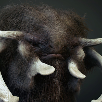 Lost creatures ancestor